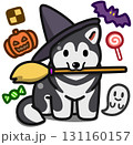 ハロウィン仮装のグレーのアラスカンマラミュート 131160157