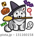 ハロウィン仮装のライトグレーのアラスカンマラミュート 131160158