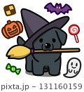 ハロウィン仮装のブラックのラブラドールレトリバー 131160159