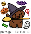 ハロウィン仮装のチョコレートカラーのラブラドールレトリバー 131160160