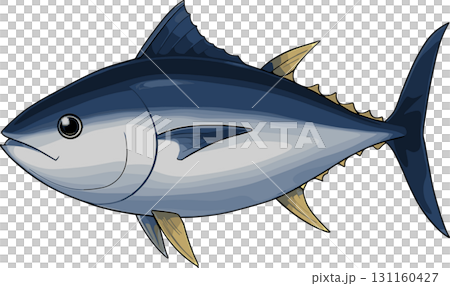 マグロのイラストのイラスト マグロのイラストのイラスト 131160427