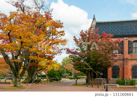 石川県立歴史博物館と紅葉した庭4 石川県立歴史博物館と紅葉した庭4 131160661