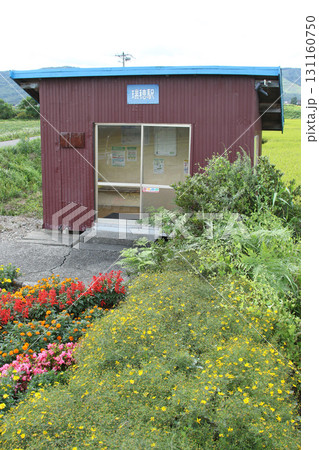 宗谷本線　瑞穂駅　W45　花の咲く駅 131160750