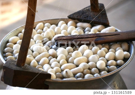 Boiling silkworm cocoons in a pot to separate them into fibers to produce silk thread. 131161589