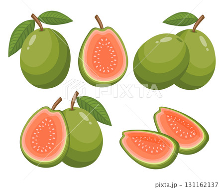 Fresh guava fruits collection, whole, halved and sliced. Healthy fruit illustration. 131162137