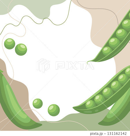 Fresh green peas background. A composition of green peas with organic shapes and leaves on an abstract background. Card, banner, poster. 131162142