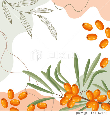 Sea buckthorn berries background. Composition of sea buckthorn berries with organic shapes and leaves on an abstract background. Card, banner, poster. Sea buckthorn berries background. Composition of sea buckthorn berries with organic shapes and leaves on an abstract background. Card, banner, poster. 131162148
