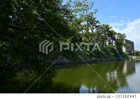 水堀と市役所（津城） 131162443