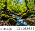 View of stream in spring flowing pass rocks covered with green moss in the forest. 131162625