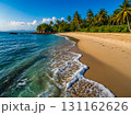 View of the beautiful sand beach with coconut grove and the blue sea in sunny day. 131162626