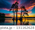 The evening view of silhouette cypress trees in the lake with the colorful dramatic sky in the background. 131162628