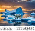 View of the iceberg with a polar bear floating in the arctic ocean in the evening sunset. 131162629