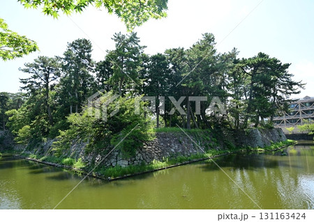 津城（三重県）の水堀 131163424