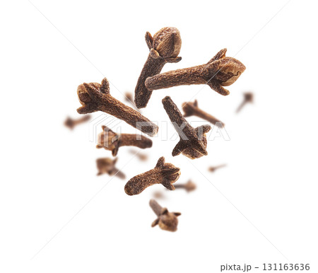 Clove seasoning levitates on a white background 131163636