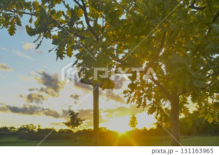 A large Christian cross in the scenery of a landscape. A Christian cross lighted by the setting sun. The concept of religion and Christianity. 131163965
