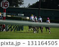 競走馬の後ろ姿 131164505