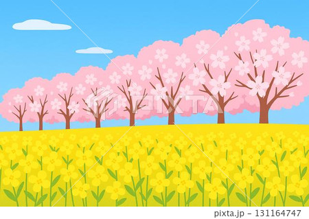 春　青空　桜　菜の花　ベクター 131164747