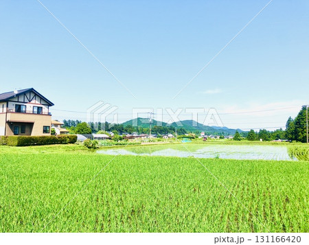 青空と緑に抱かれた家並み 131166420