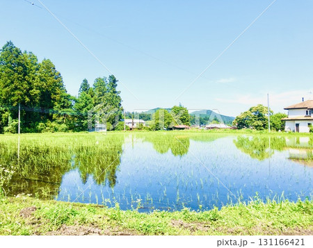 初夏の水鏡 131166421
