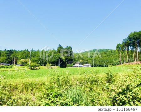 夏色の風景 131166467