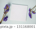 Empty white blank greeting or invitation card with  violet flower on blue background. 131168001