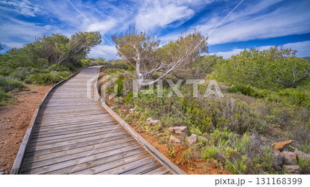 Sierra de Irta Natural Park, Spain 131168399