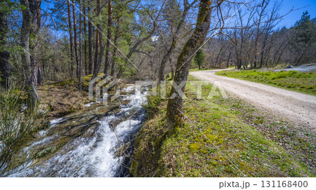 Gardens and Forest of the Royal Palace of La Granja de San Ildefonso, Spain Gardens and Forest of the Royal Palace of La Granja de San Ildefonso, Spain 131168400