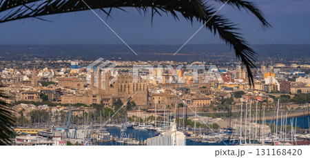 Panoramic City View of Palma de Mallorca, Spain 131168420
