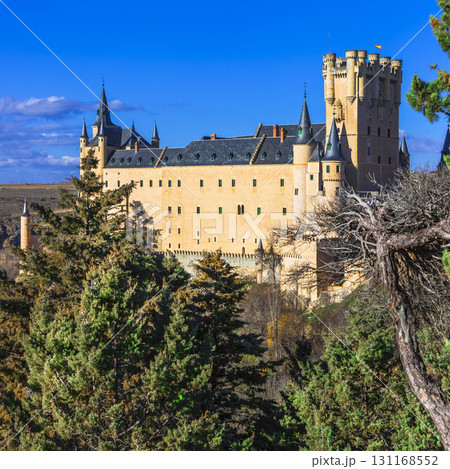 beautiful Alcazar castle in Segovia, Spain 131168552