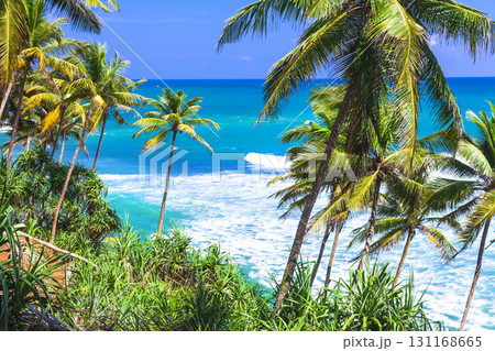 wild beautiful beaches of Sri Lanka wild beautiful beaches of Sri Lanka 131168665