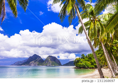 tropical holidays - Palawan island. Philippines tropical holidays - Palawan island. Philippines 131168697