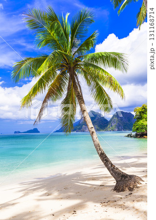 tropical paradise beach,Palawan, Philippines 131168714