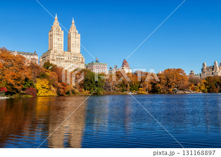Autumn in Central Park - New York City Autumn in Central Park - New York City 131168897