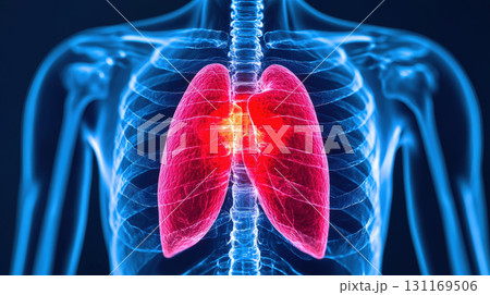 Anatomical illustration of human lungs highlighting respiratory system. This detailed image showcases structure and function of lungs, emphasizing their importance in health 131169506
