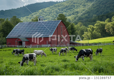 A red barn with solar panels on its roof is situated in a green pasture where a herd of black and white cows graze, with lush, forested hills in the background. 131169737