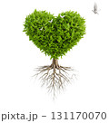 鳩が留まるハートにかたどられた緑の木 131170070