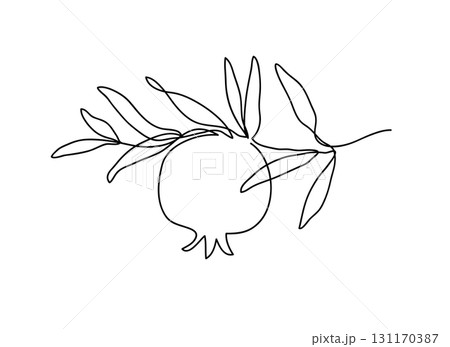 Branch with pomegranate. Modern single line art drawing. Continuous line drawing. Outline draw design vector illustration 131170387
