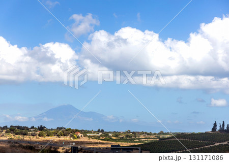 Scenic Sicilian landscape with Mount Etna and olive trees 131171086