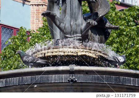 pigeons birds in Tryton fountain in Gdansk Poland 131171759