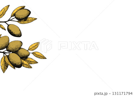 Botanic background with olive branch sketch. Ink hand drawn olives set. Botanic plant vector illustration. A sprig of an olive tree with leaves. Food concept. Wallpaper with greenery olive tree Botanic background with olive branch sketch. Ink hand drawn olives set. Botanic plant vector illustration. A sprig of an olive tree with leaves. Food concept. Wallpaper with greenery olive tree 131171794