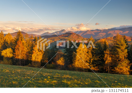 Autumn Sunlight on Rolling Hills: A Scenic Mountain Landscape with Golden Trees and Distant Peaks. The Mala Fatra national park in Slovakia, Europe. Autumn Sunlight on Rolling Hills: A Scenic Mountain Landscape with Golden Trees and Distant Peaks. The Mala Fatra national park in Slovakia, Europe. 131174511