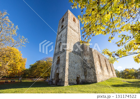 The Katarinka, ruins of a Franciscan monastery and church in Slovakia, Europe. Ancient stone tower against a vibrant blue sky, surrounded by autumn trees and a green grassy hill. The Katarinka, ruins of a Franciscan monastery and church in Slovakia, Europe. Ancient stone tower against a vibrant blue sky, surrounded by autumn trees and a green grassy hill. 131174522