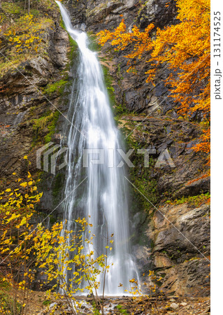 The Sutovsky waterfall in The Mala Fatra national park in Slovakia, Europe. Autumnal Waterfall: Water cascades down rocky cliff, framed by vibrant fall foliage in a scenic nature setting. The Sutovsky waterfall in The Mala Fatra national park in Slovakia, Europe. Autumnal Waterfall: Water cascades down rocky cliff, framed by vibrant fall foliage in a scenic nature setting. 131174525