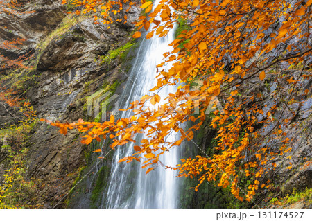 The Sutovsky waterfall in The Mala Fatra national park in Slovakia, Europe. Autumn waterfall cascading down rocky cliff, framed by vibrant golden leaves in peak foliage season. The Sutovsky waterfall in The Mala Fatra national park in Slovakia, Europe. Autumn waterfall cascading down rocky cliff, framed by vibrant golden leaves in peak foliage season. 131174527