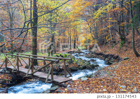 Autumn stream crossing: Wooden bridge over a gentle stream surrounded by colorful fall foliage. The Mala Fatra national park in Slovakia, Europe. Autumn stream crossing: Wooden bridge over a gentle stream surrounded by colorful fall foliage. The Mala Fatra national park in Slovakia, Europe. 131174543