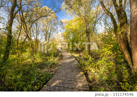 Spinning wooden trail in autumn park. 131174546