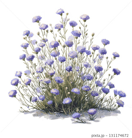 Wildflowers for Bees in Watercolor Style Pastel Clipart with Soft Shadows Transparent Background 131174672