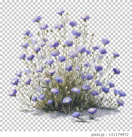 Wildflowers for Bees in Watercolor Style Pastel Clipart with Soft Shadows Transparent Background 131174672