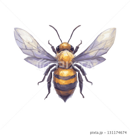 Detailed Watercolor Bee Clipart with Queen Bee and Garden Theme in Pastel Colors 131174674