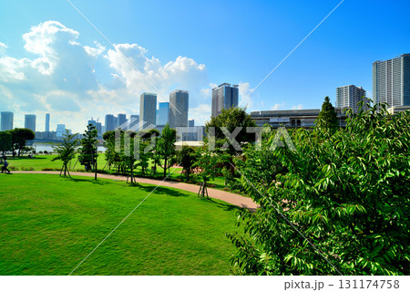豊洲公園から観た晴海臨海公園　高層マンションの風景 131174758